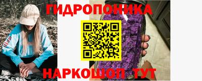 apvp Славгород