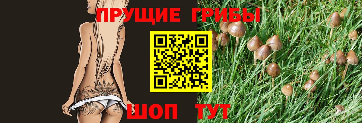 Псилоцибиновые грибы мухоморы  Вход с VPN  Мариинск 